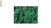 SEMINTE FASOLE VERDE URIASA - 60 CM
