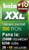Pachet publicitate Bointer XXL