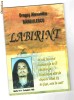 D A BARBULESCU - LABIRINT