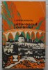 I. Simionescu - Pitorescul Romaniei