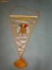 104 Fanion - FEDERATIA ROMANA DE FOTBAL