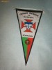 225 Fanion - FEDERATIA PORTUGHEZA DE HANDBAL