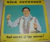 DISC VINIL / VINYL LP MUZICA POPULARA: GICA PETRESCU - HAI NOROC SI IAR NOROC !