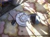 motor piaggio si/ciao/ceao/bravo/grillo + bobina Ducati Element