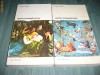 ANTIRENASTEREA 2 VOL EUGENIO BATTISTI