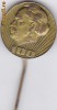 Insigna pin