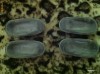 Vand lampi interior fete usi Opel Vectra B