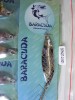 Lingurita Oscilanta  Baracuda SPN27-1-7gr