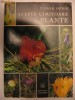 TUDOR OPRIS - ACESTE UIMITOARE PLANTE