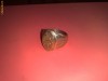 Ghiul placat cu aur 18 k
