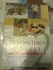 cunoasterea mediului clasa a II-a