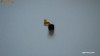 Microfon Apple iPhone 3G Original