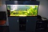 Vand acvariu 300 litri full echipat+filtru Eheim 2080 profesional3