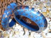 BRATARA FASHION MONOGRAME firma CHANEL, ORIGINALA, PLASTIC ALBASTRU si TRANSPARENT