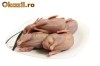 Vand prepelite! oua, carne,pui prepelita