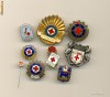 Lot Insigne diferite crucea rosie  9 buc