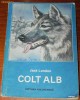 JACK LONDON - COLT ALB. ILUSTRATII DE VALENTIN TANASE