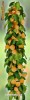 PRUN GALBEN, COLUMNAR (special pt. BALCON, TERASA sau GRADINA)