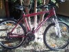 OKAZIE UNICA WHEELER PRO 29 ROSIE MODEL 2010