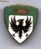 INSIGNA MILITARA ITALIA -BRIGADA ALPINA TRIDENTINA RRR!
