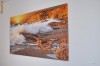 Tablou printat pe panza canvas