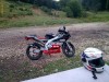 Aprilia rs 50