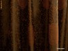 Draperie / Draperii Texas Trandafiri Maro 88276MA