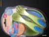 Castron bebe 6+ luni cu doar 25Ron