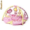 BRIGHT STARTS ACTIVITY GYM, CENTRU / SALTEA DE JOACA