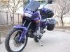 aprilia pegaso
