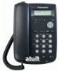 Panasonic KX-HGT100EXB