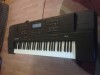 Orga Roland G600
