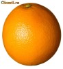 NUMAR  FOARTE USOR ORANGE- 07XY-311577