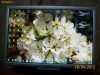 VAND MONITOR LCD ACER AL1916W Okazie PRET 220 LEI