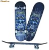 Skateboard SPORTMANN NET