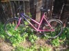 Bicicleta fischer dama