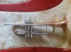 Trompeta Parrot 6416L