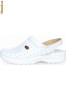 Pantofi Dr Scholl CLOGRACY_F239271065