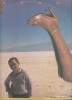 SAVANA - LP VINIL