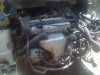 Motor  VW Golf 4 1.4 16v  Benzina  AKQ