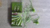 1009PLU Casti mp3 ipod pc cu jack stereo Super Bass Earphone cu design trendy in forma de slapi de plaja