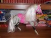Cal pt Barbie