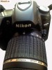 Nikon D80 +Tamron 55-200mm