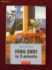 Selena Summers - Feng Shui in 5 mnute - 19504