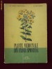 Corneliu Constantinescu Artin Agopian - Plante medicinale din flora spontana - 9083