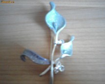 BROSA ALBASTRA foto