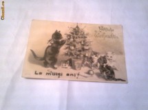 Carte Postala - Pisicute si impodobirea braduletului foto