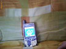 palm treo650 foto
