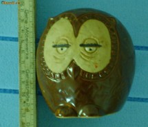 Bufnita foto