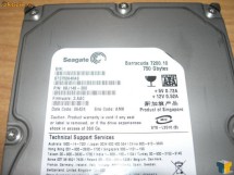 Hard disk HDD Seagate 750GB Sata